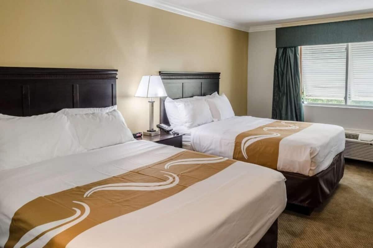 Two double beds with headboards, a bedside table with a lamp, and a window with curtains.