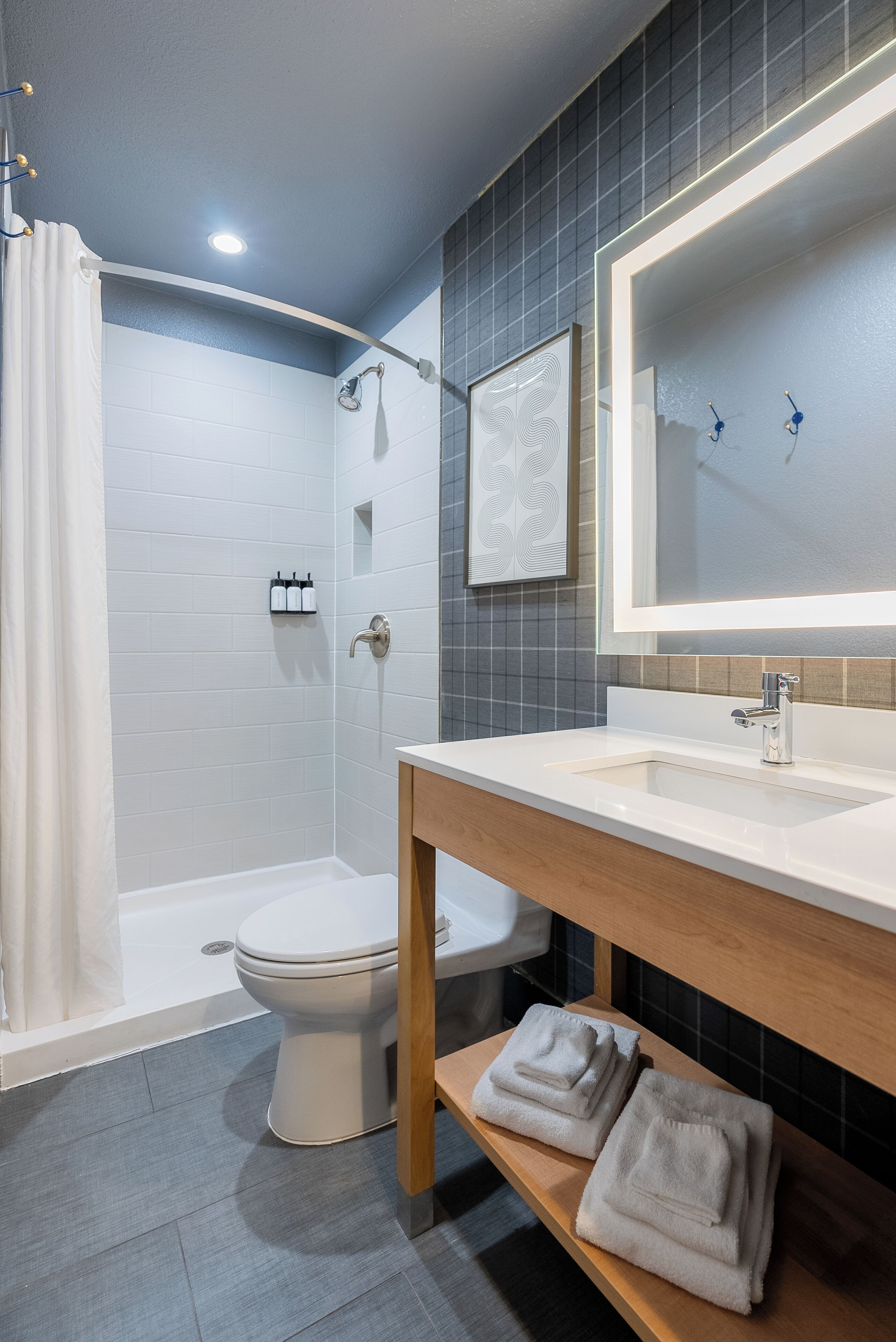 Un bagno moderno dotato di doccia, WC e lavabo.
