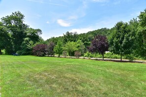 Un espacio verde con césped, árboles y una mesa de picnic.