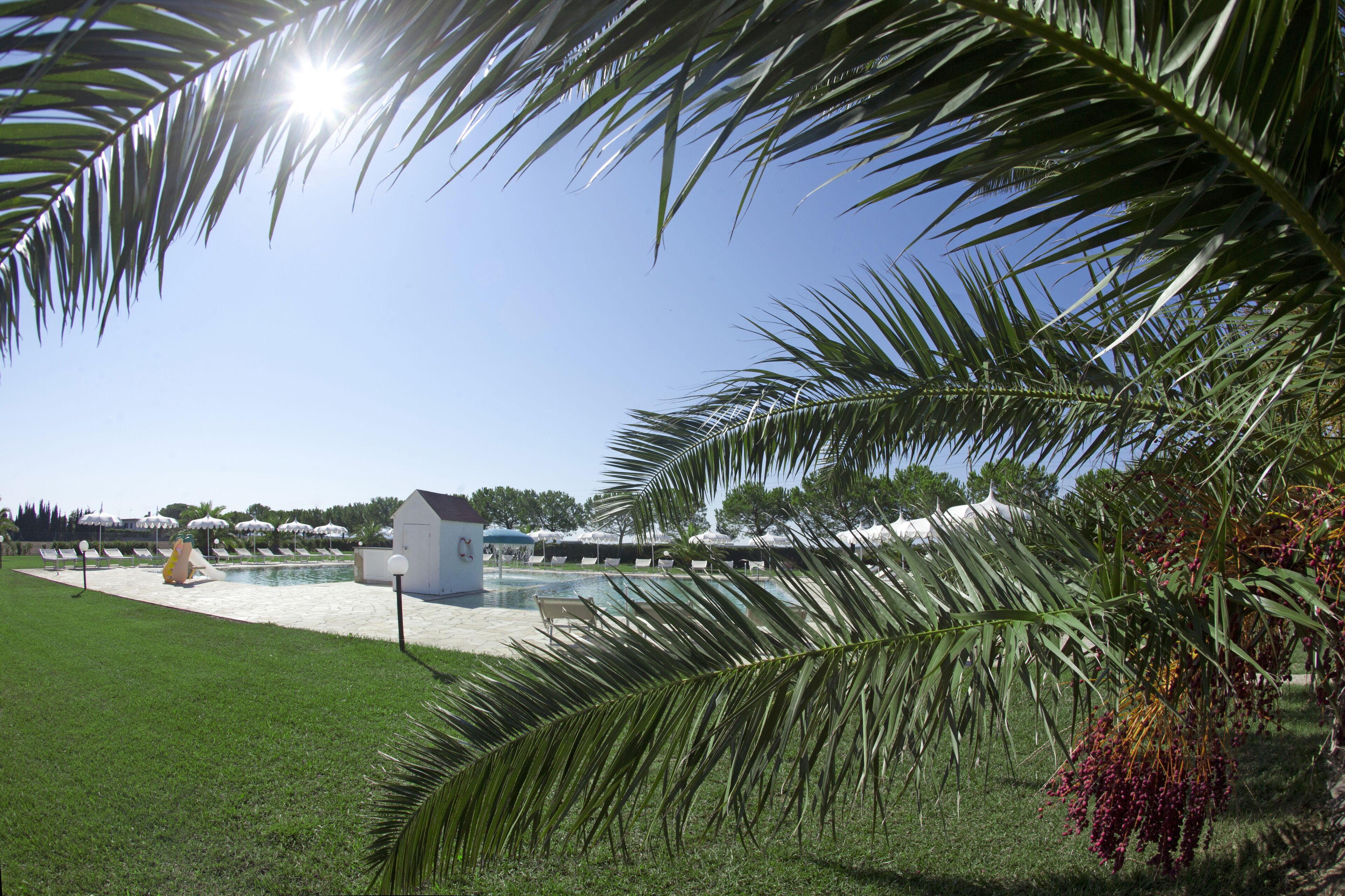 Zona de piscina con un edificio pequeño, palmeras y cielo despejado.