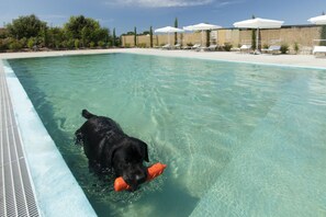 Pet-friendly - Fattoria Maremmana (Grosseto)