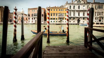 Muelle
