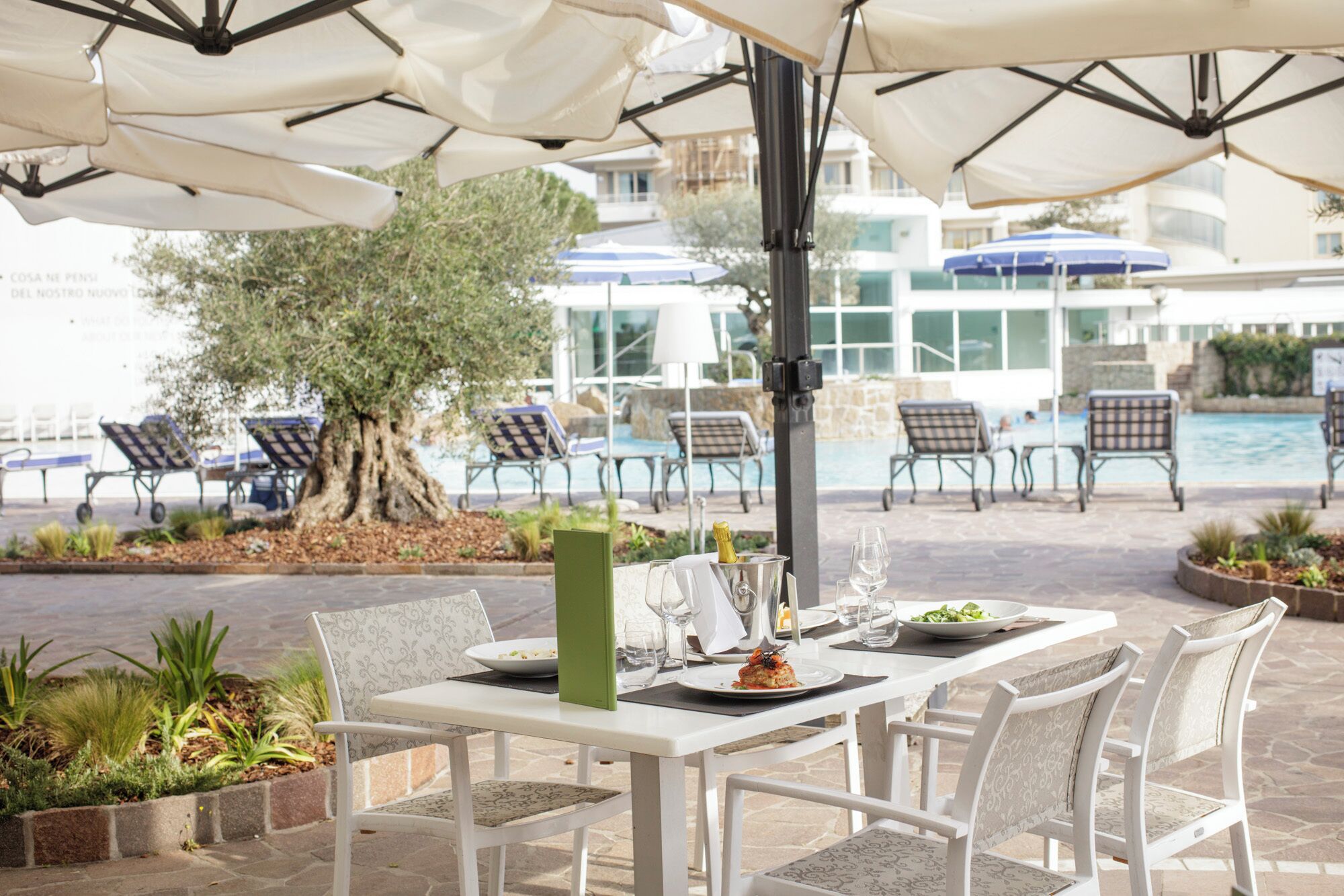 An outdoor dining area with white tables and chairs, a tree, and umbrellas.