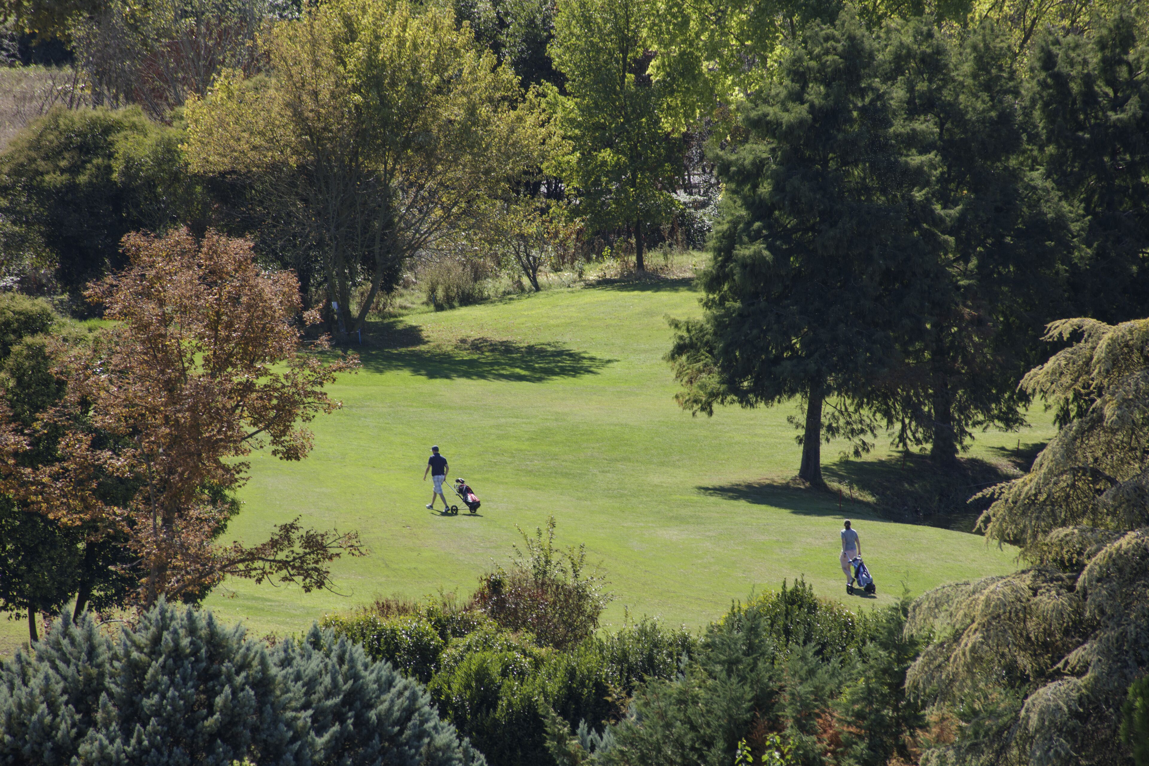 Golf