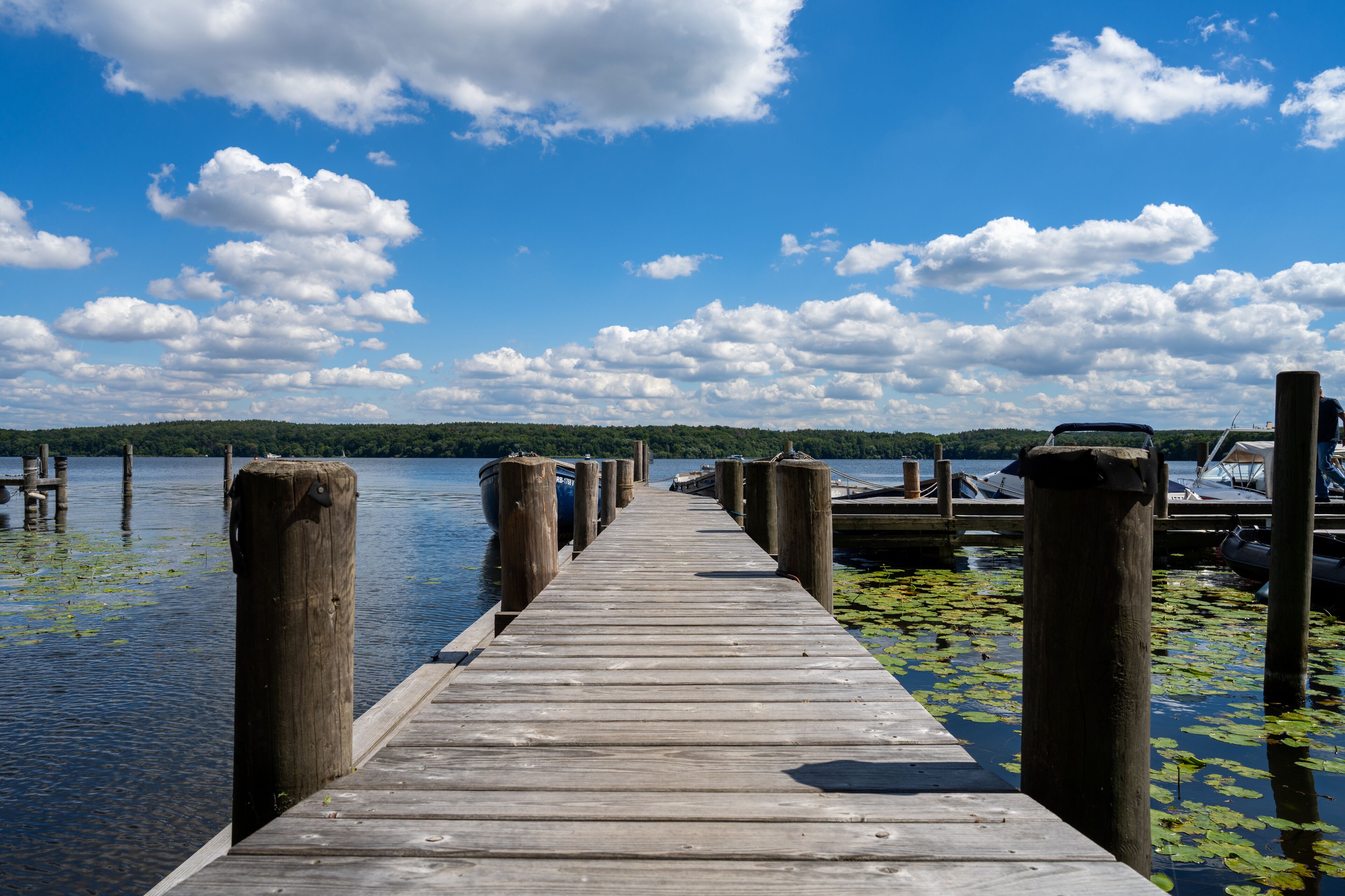 Foto - Kongresshotel Potsdam am Templiner See