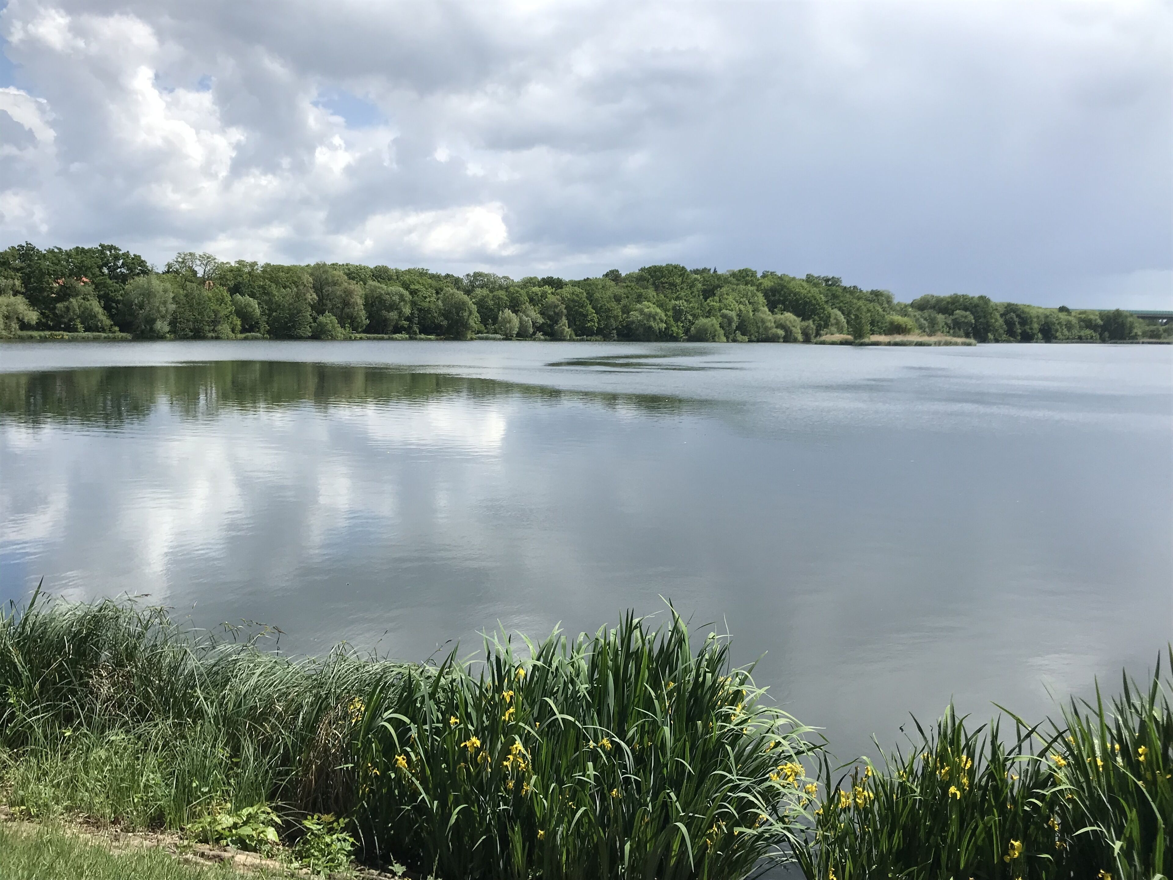 Foto - Hotel Svornost