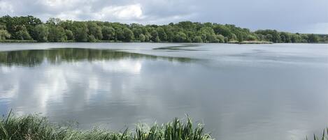 A calm lake with a forested shoreline and overcast sky.