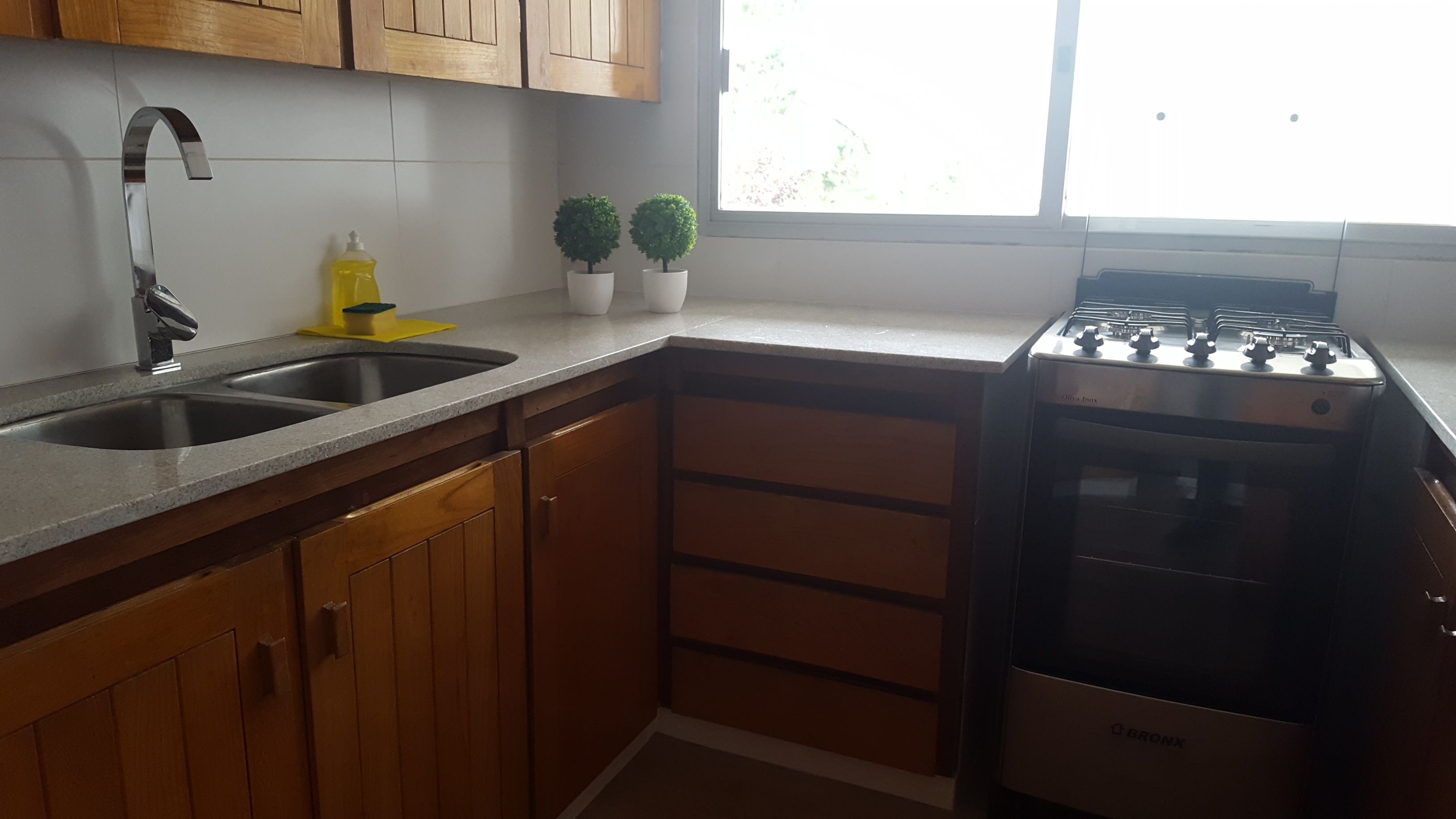 Una cocina con un lavamanos doble, estufa, armarios de madera y dos plantas en macetas.