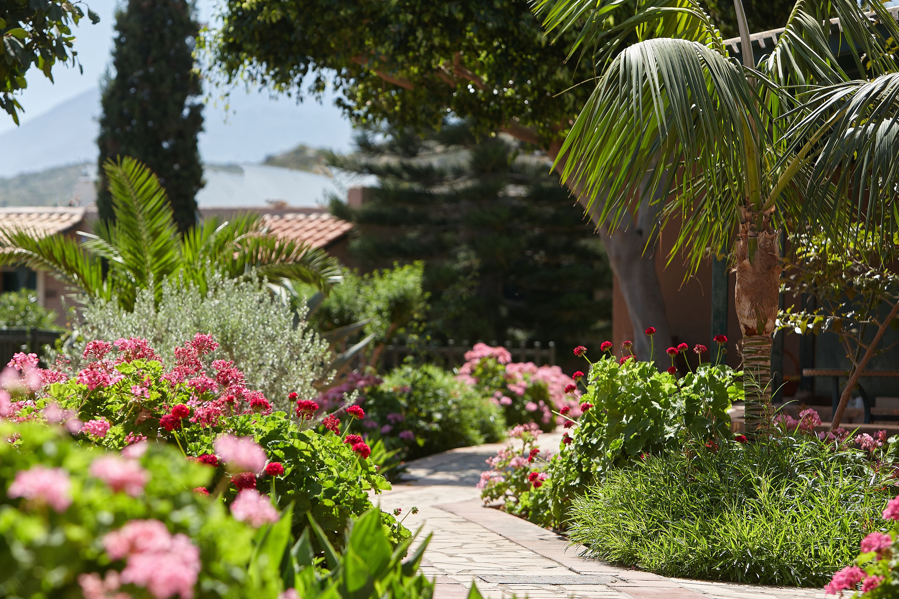 Terassi/patio