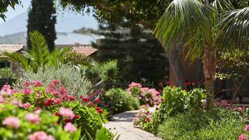 Terassi/patio