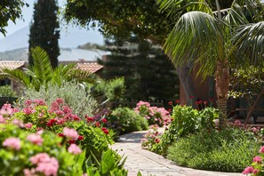 Terrace/patio - Marni Village (Hersonissos)
