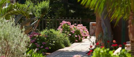 A garden pathway lined with pink flowers and various plants.