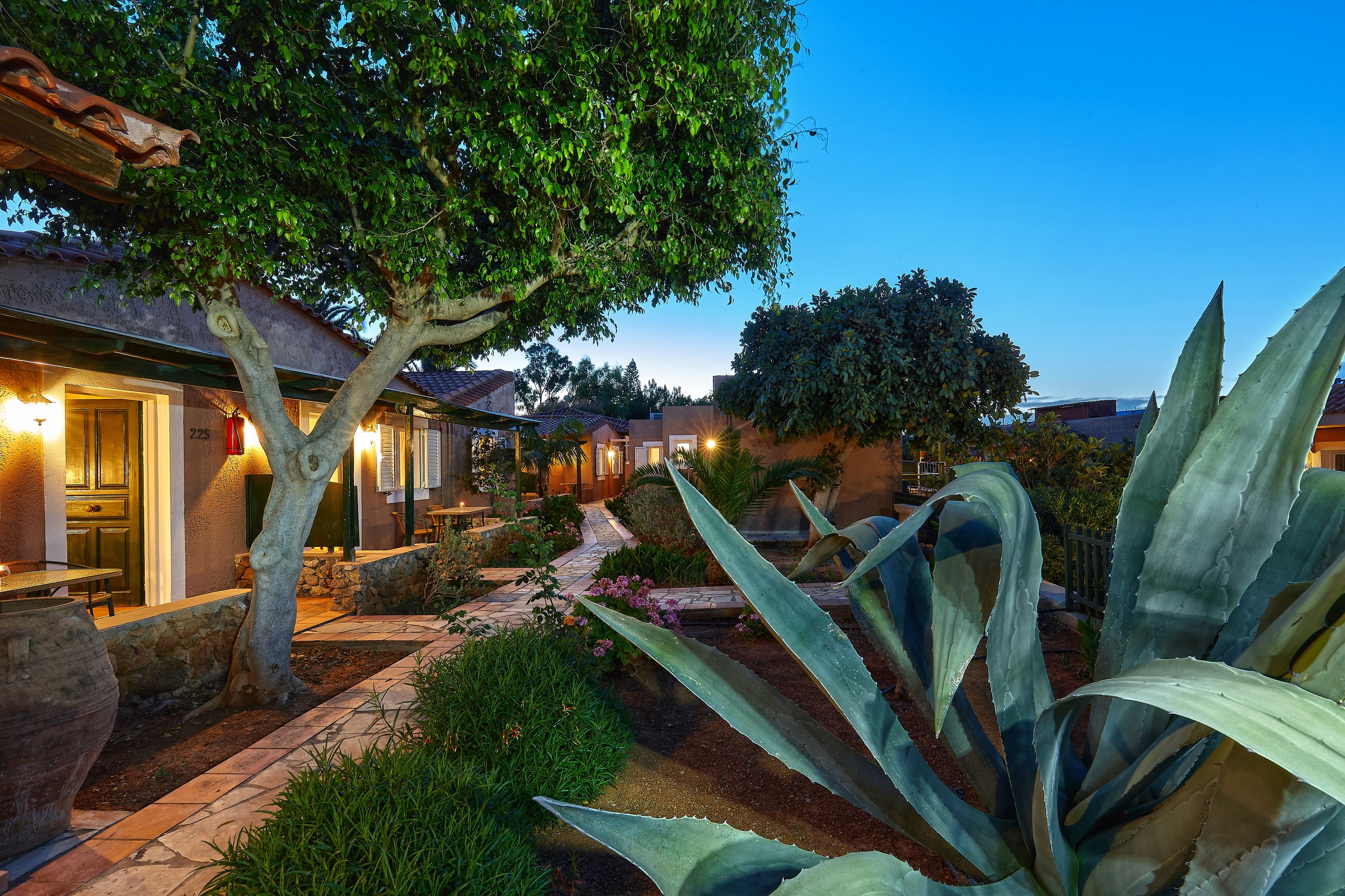 Un patio con un árbol, una gran planta de agave y un edificio de fachada de piedra.