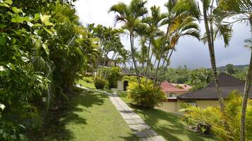 A pathway leading to a building surrounded by lush greenery and palm trees.