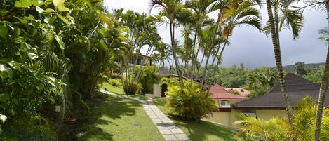 A pathway leading to a building surrounded by lush greenery and palm trees.