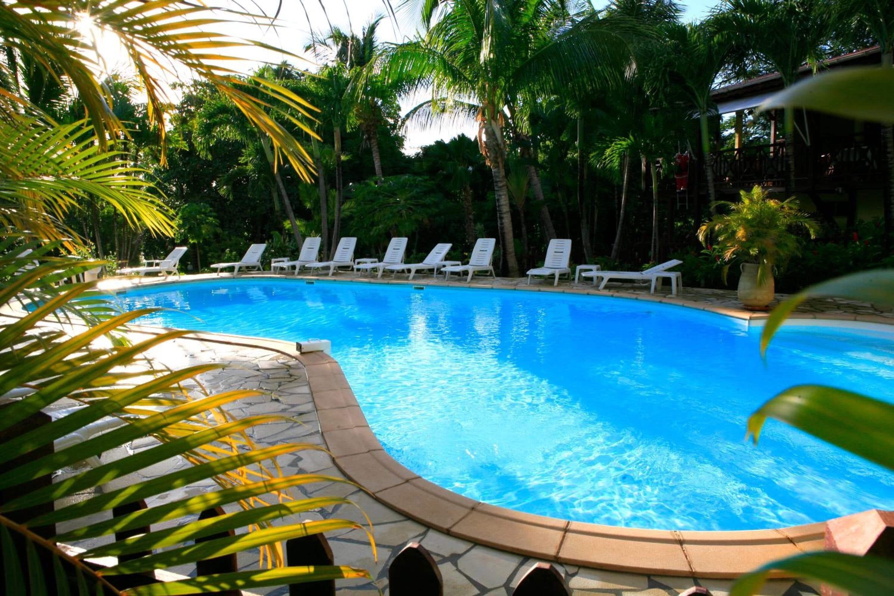 Outdoor pool, sun loungers