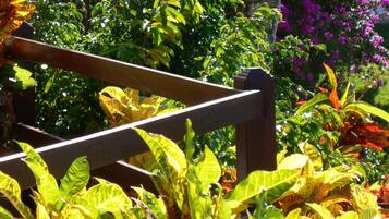 A garden with a wooden bench, lush green foliage, and vibrant purple flowers.