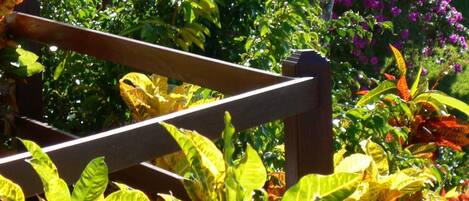 A garden with a wooden bench, lush green foliage, and vibrant purple flowers.
