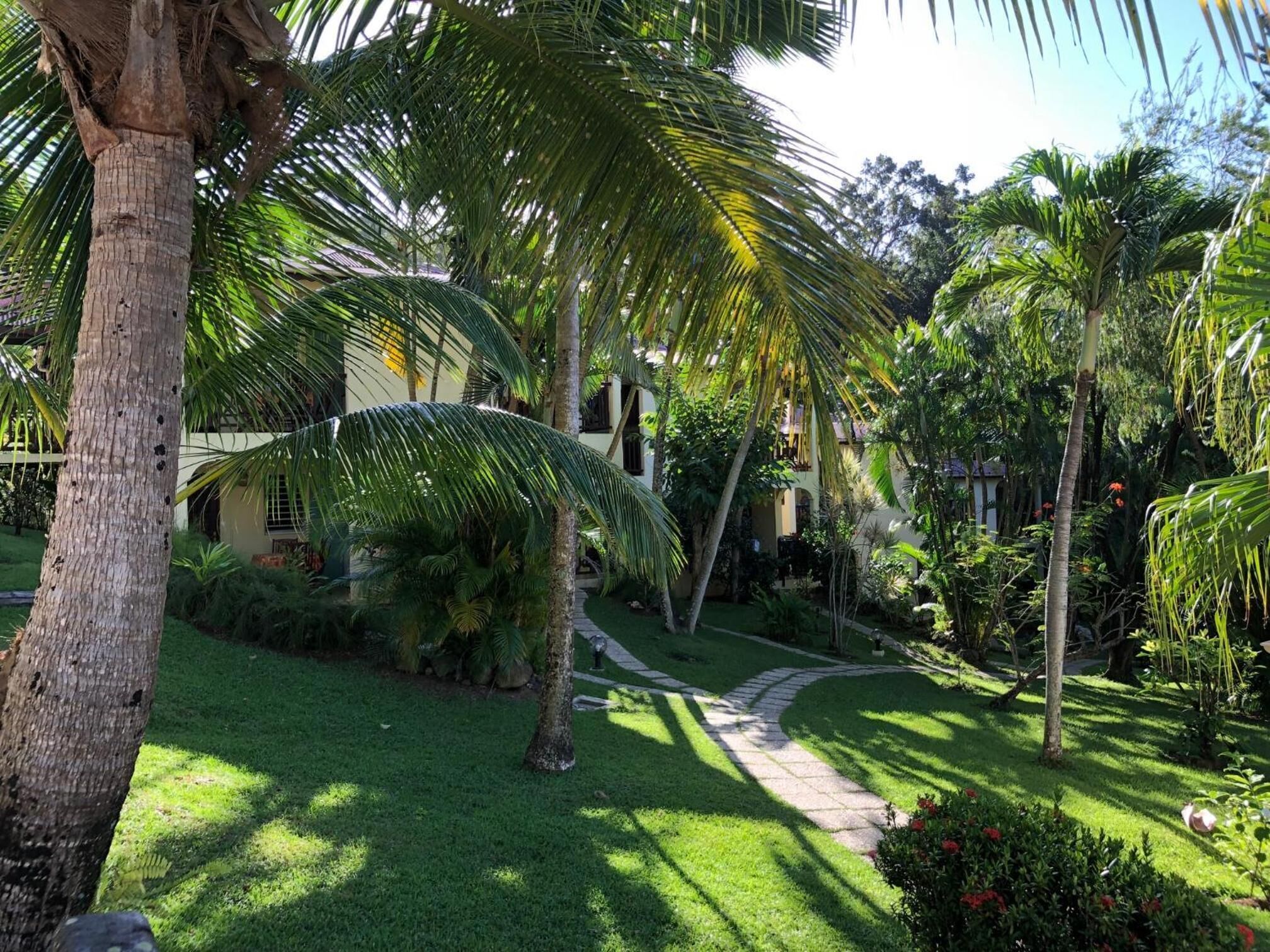 A lush garden with palm trees, a pathway, and a building with a yellow facade.