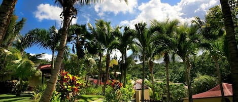 Un exuberante jardín con palmeras, un sendero y un pequeño edificio de techo rojo.