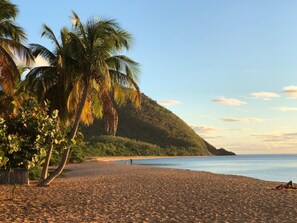 A beach with palm trees, a sandy shore, and a hilly backdrop. - Habitation Grande Anse (Deshaies)