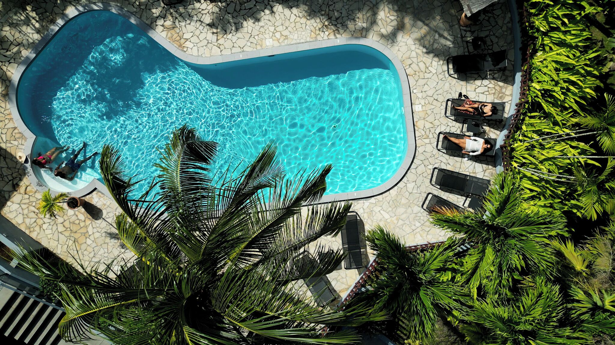 Vista aérea de una piscina rodeada de sillas de descanso y palmeras.