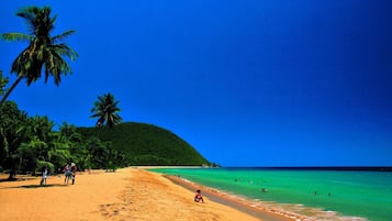 Playa en los alrededores 