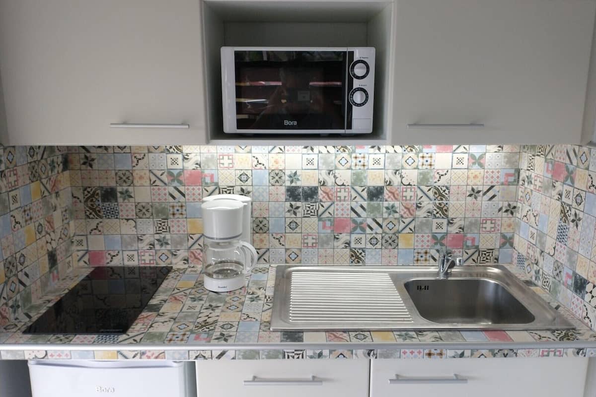 superior studio, kitchenette (34 m2) | private kitchen | fridge, microwave, electric kettle, cleaning supplies