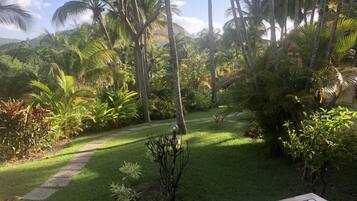 Standard Studio, Kitchenette (28 m2) | View from room