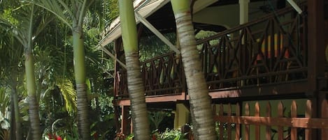 A tropical garden with palm trees, a wooden deck, and red flowers.
