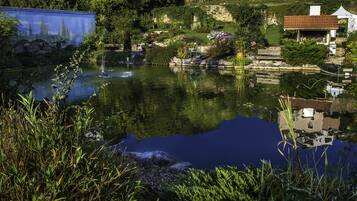 Ein friedlicher Teich mit einer hölzernen Mole, umgeben von üppiger Vegetation und einem kleinen Gebäude mit rotem Dach.
