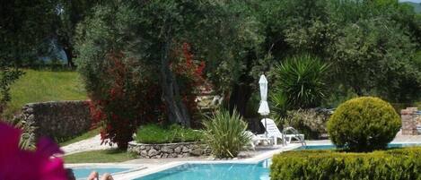Seasonal outdoor pool, pool umbrellas, sun loungers