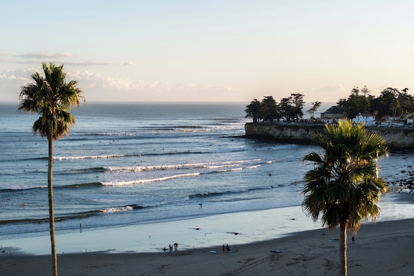 Surfing/boogie boarding