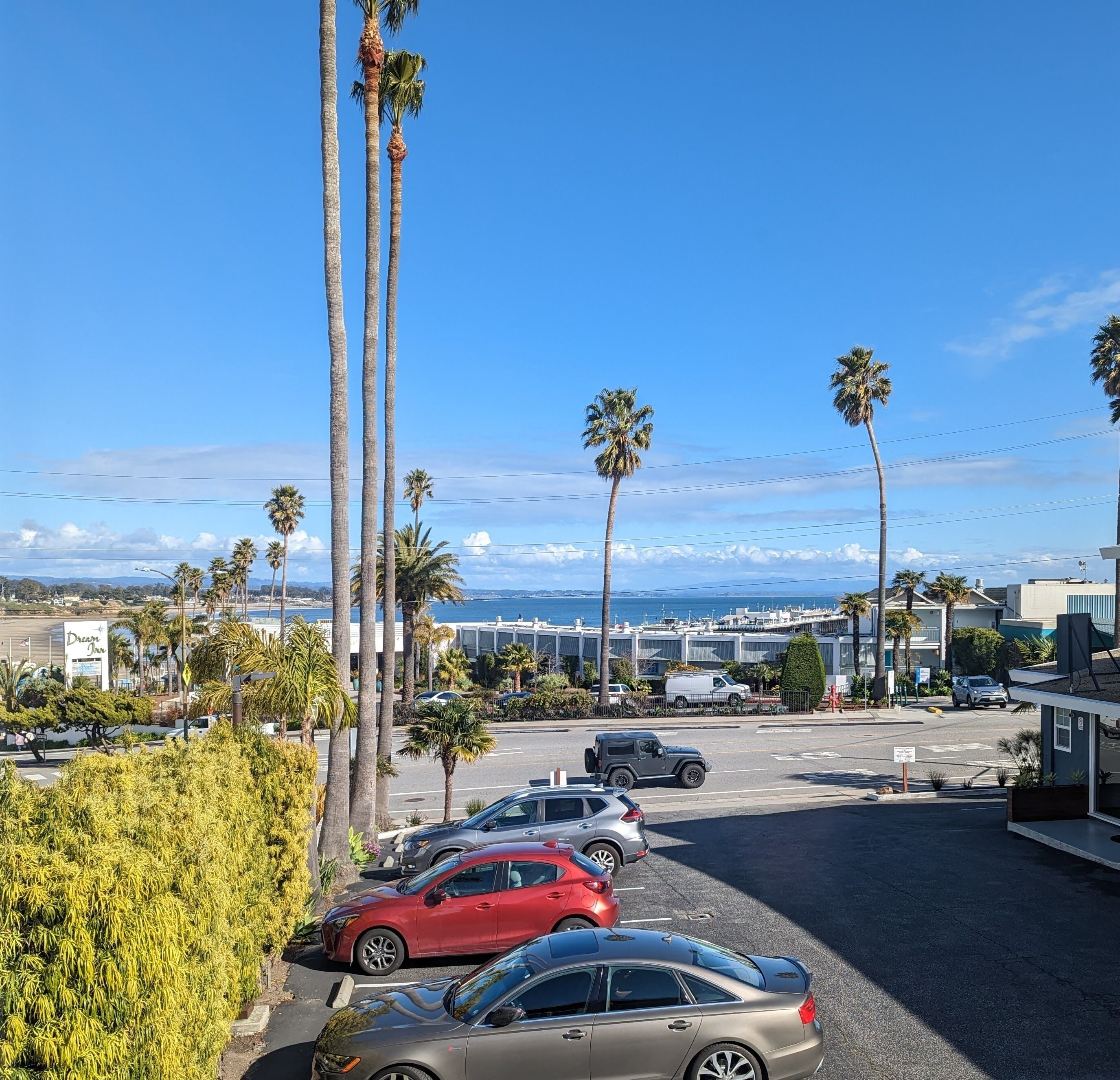 mini suite | view from room