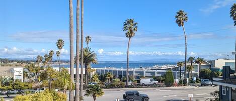 A parking lot with several cars, palm trees, and a view of the ocean and distant buildings.
