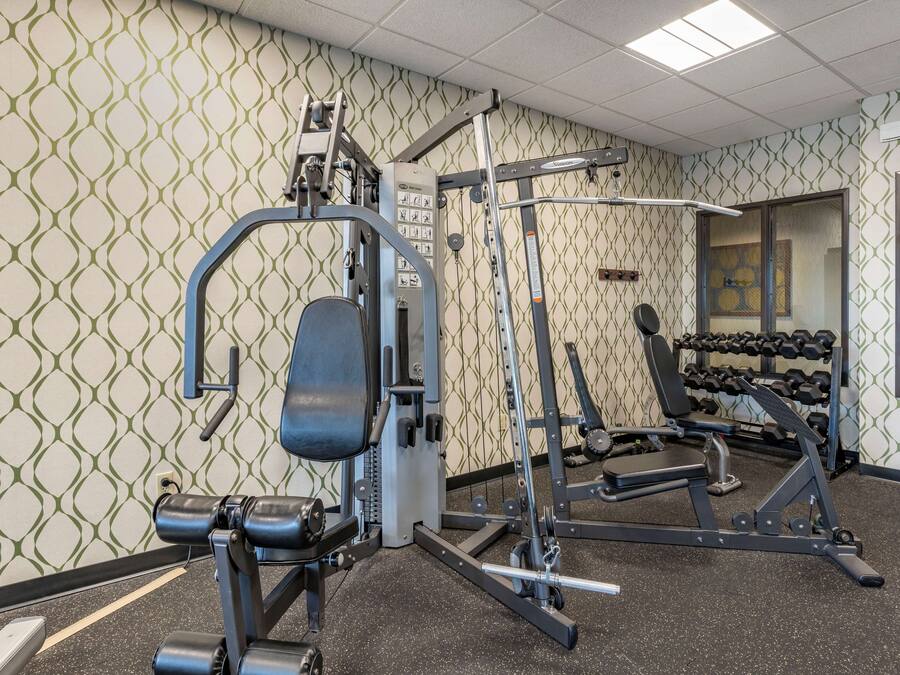 A gym with weightlifting equipment, a bench, and a wall of dumbbells.