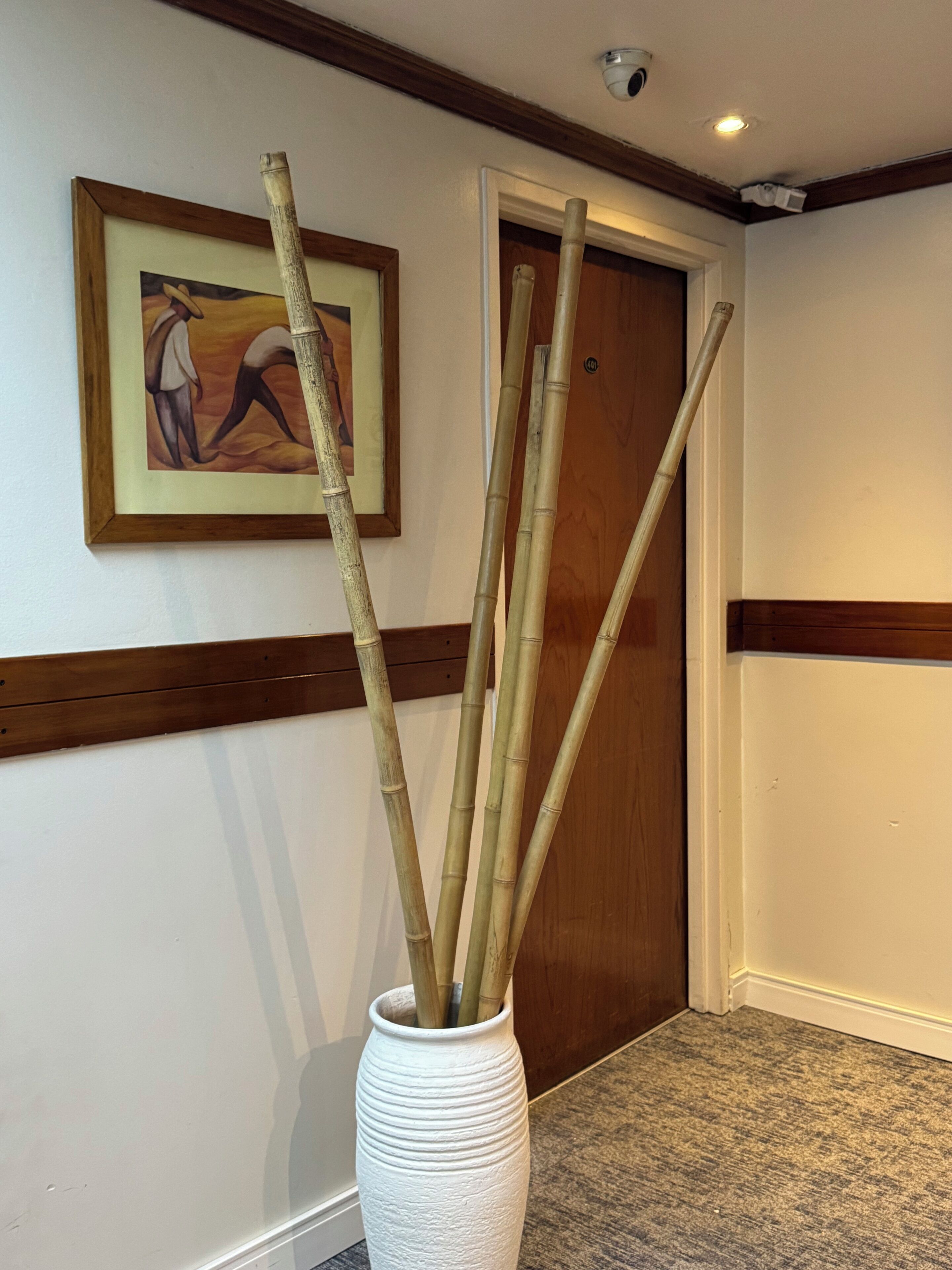 Foto - Hotel La Perla