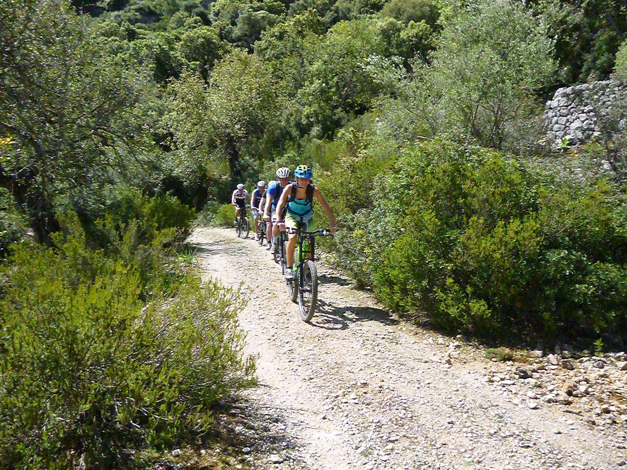 Een groep fietsers op een grindpad, omringd door weelderige begroeiing.