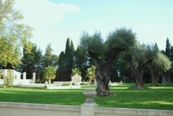 A landscaped garden with mature trees and a stone pathway.