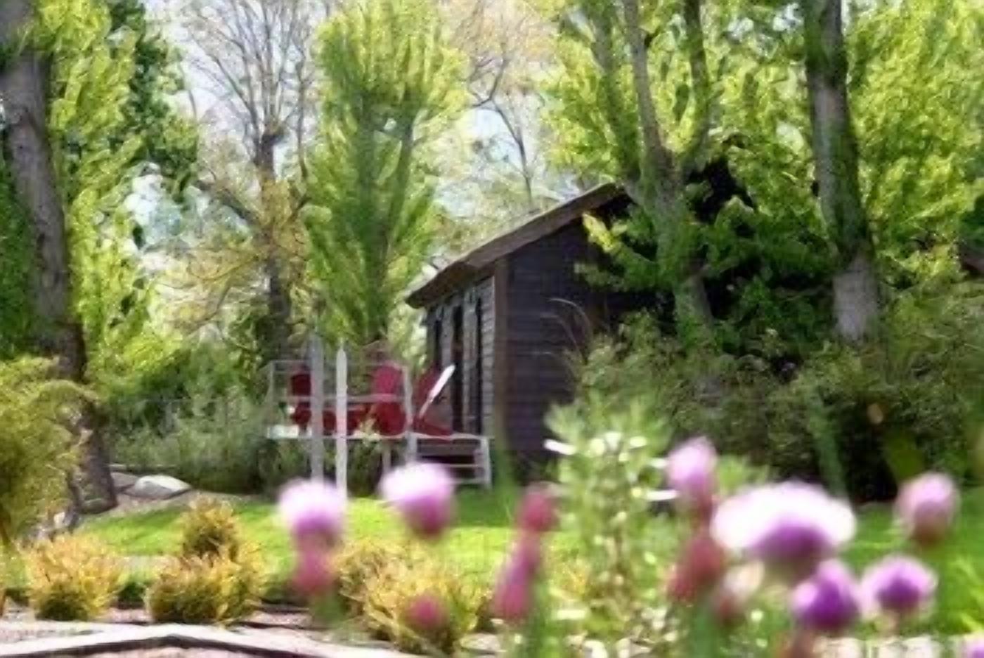 Un chalet rustique entouré d’une forêt dense et verdoyante, avec un petit jardin agrémenté de fleurs violettes.