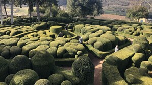 Un jardí meticulosament cuidat amb dissenys geomètrics de trencadores i un camí ben definit per passejar.