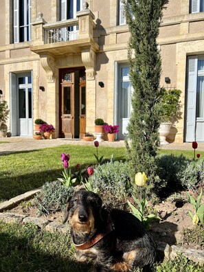 Animaux de compagnie acceptés