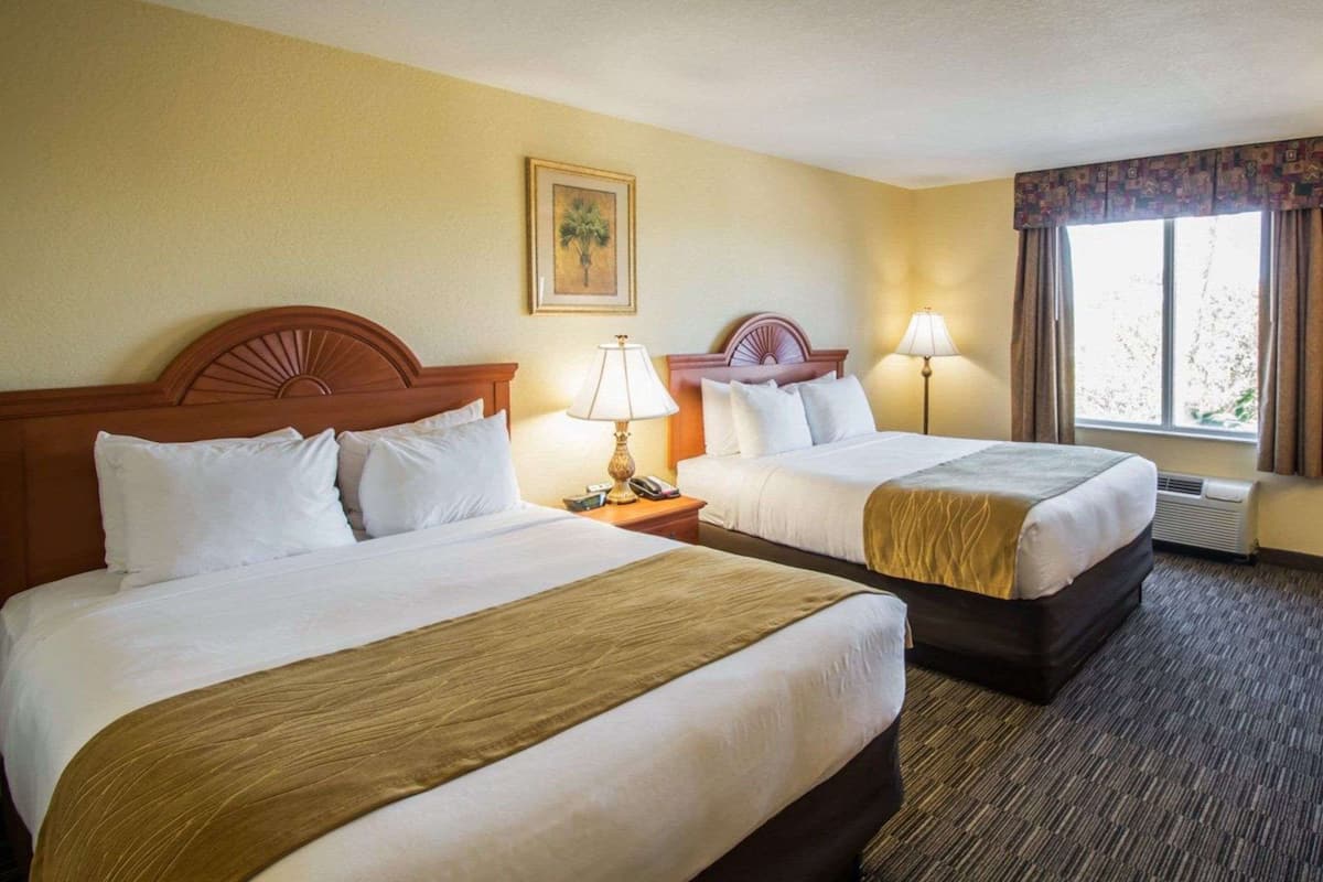A hotel room with two beds, each with a wooden headboard, white bedding, and a brown throw blanket. There is a framed picture on the wall, a window with curtains, and a lamp on each nightstand.