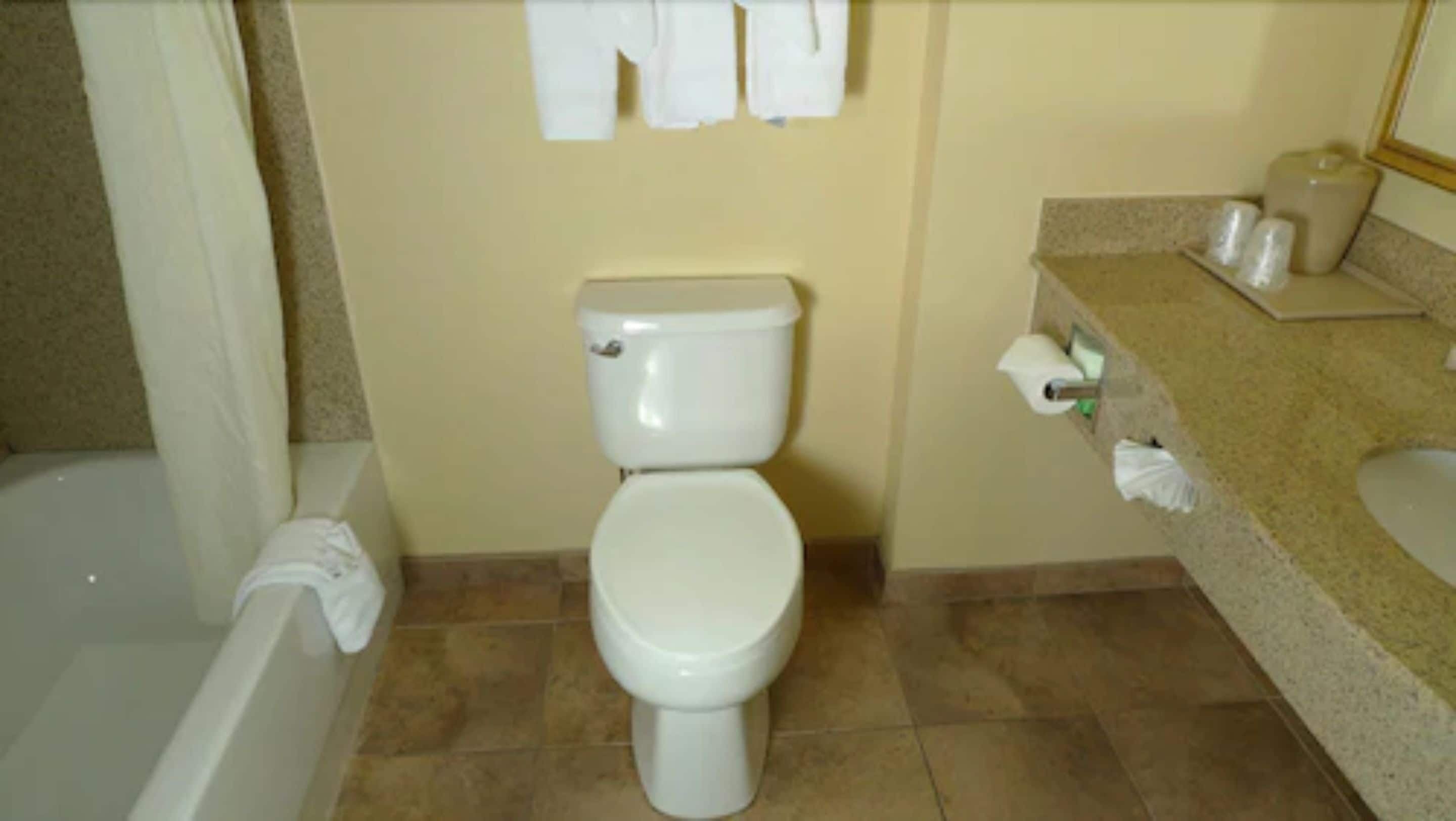 free toiletries, hair dryer, towels