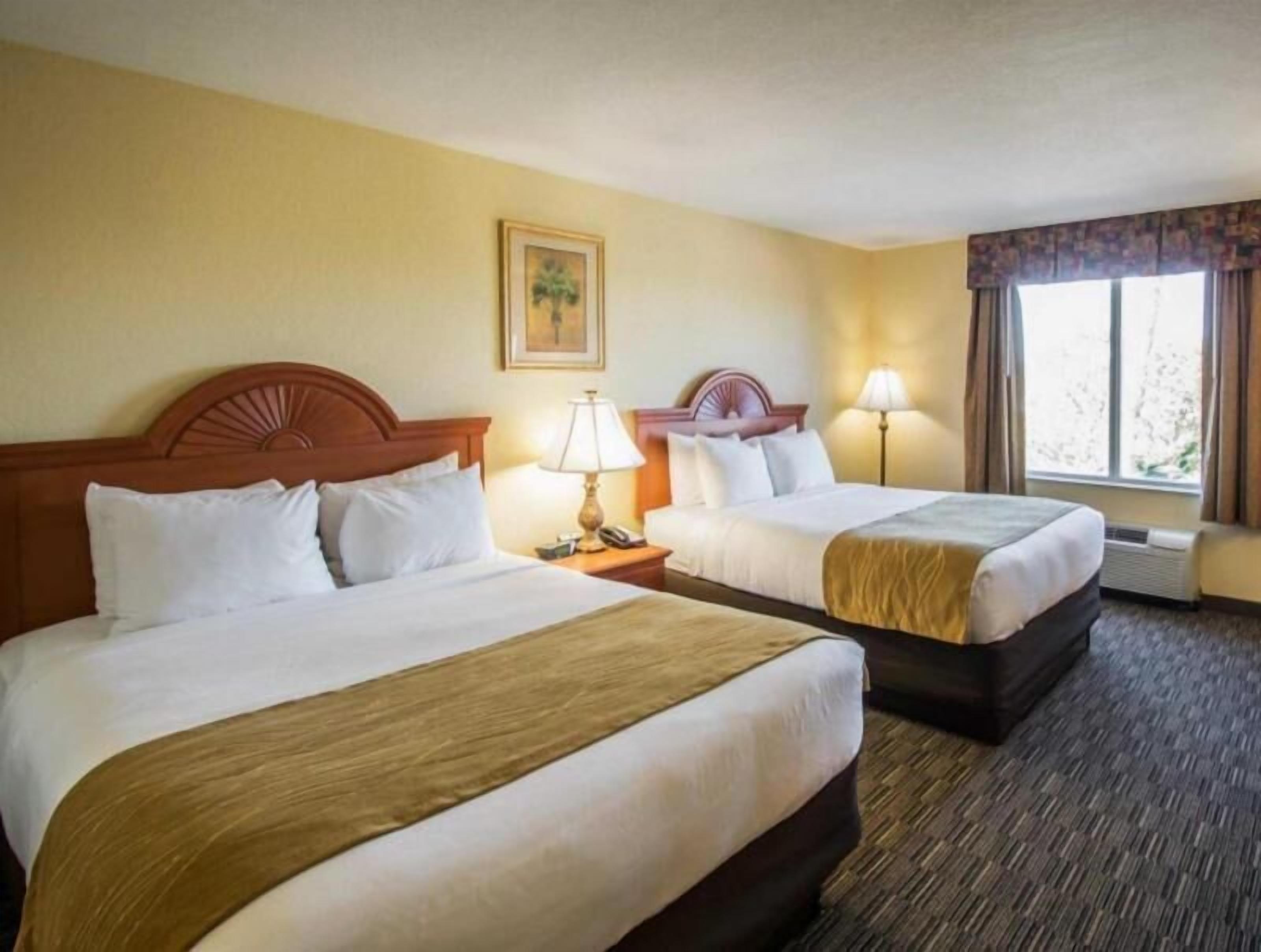 In-room safe, desk, iron/ironing board, cribs/infant beds