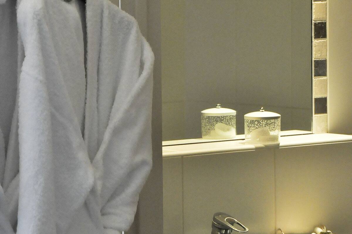 combined shower/bathtub, free toiletries, hair dryer, towels