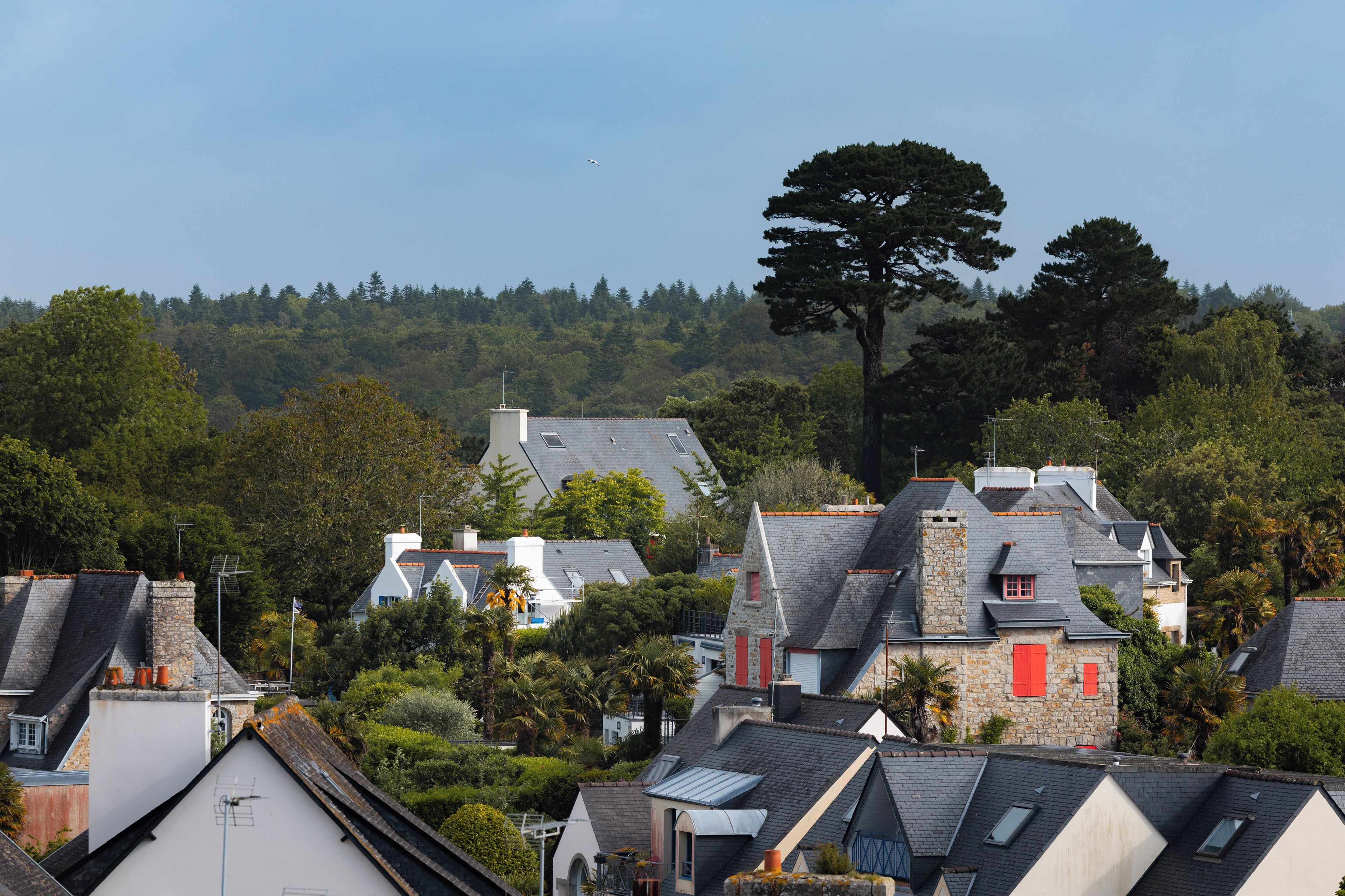 A residential area with houses featuring sloped roofs and chimneys, surrounded by dense greenery and a large tree.