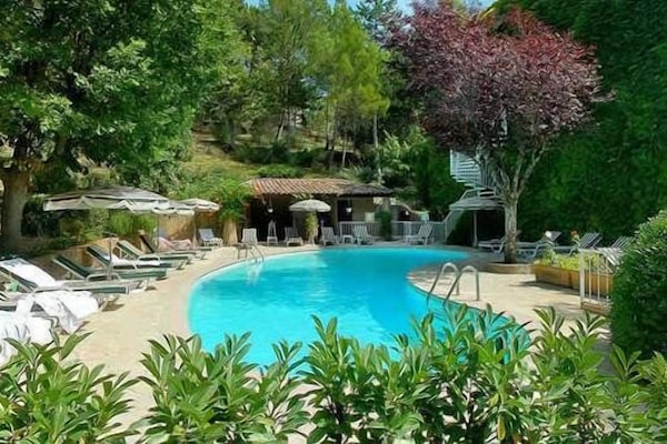 Outdoor pool, sun loungers