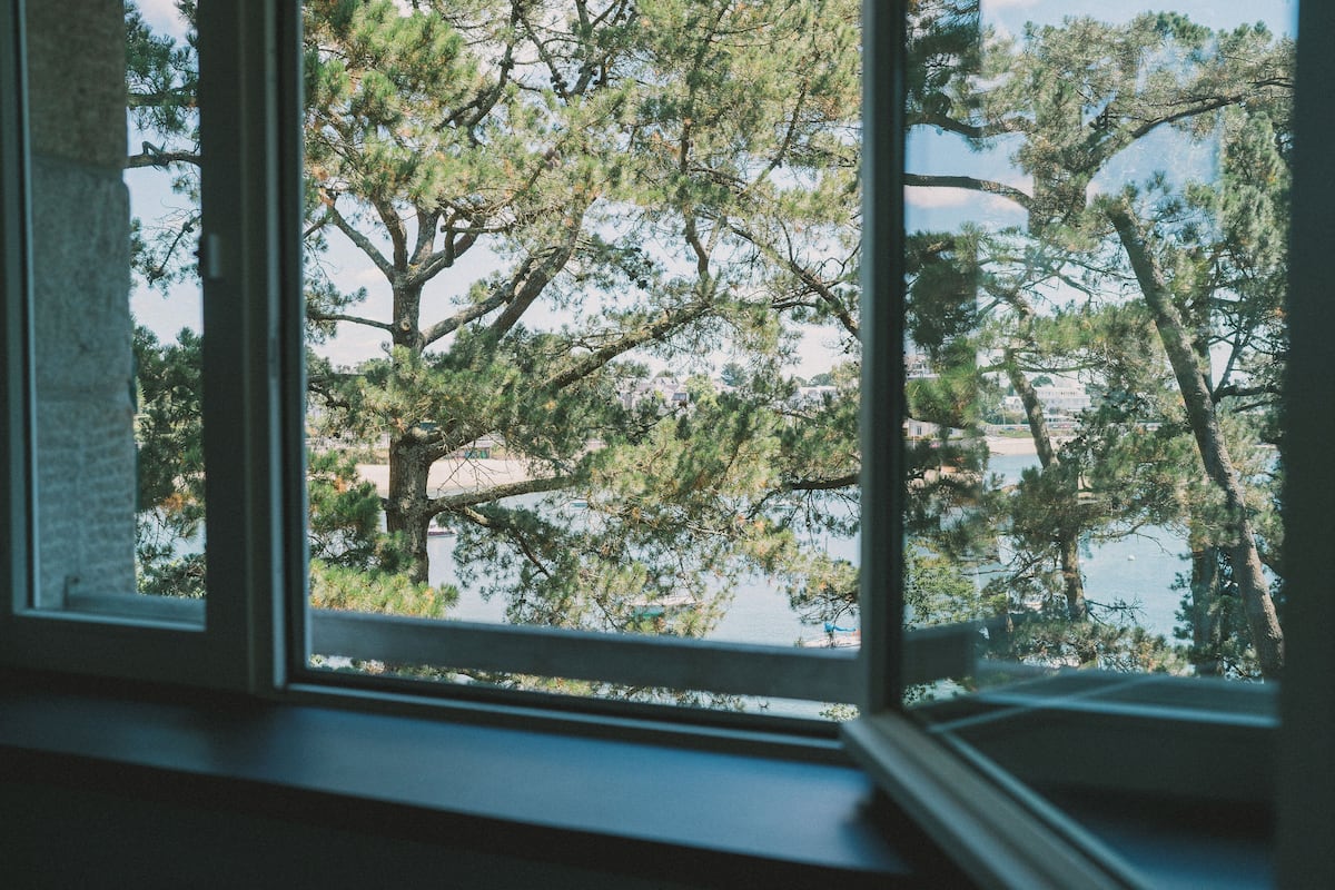A view through a window with a view of trees and a body of water.
