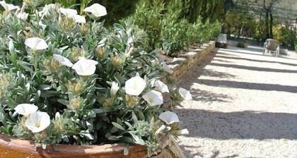 Hôtel Côté Ventoux